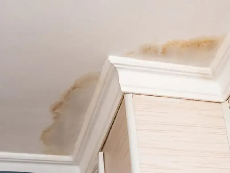A water stain creeping along the corner of a ceiling
