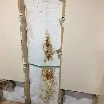 A burst supply line exposed inside an opened wall