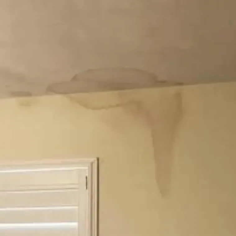 A brown water stain spreading across a ceiling and running down the wall