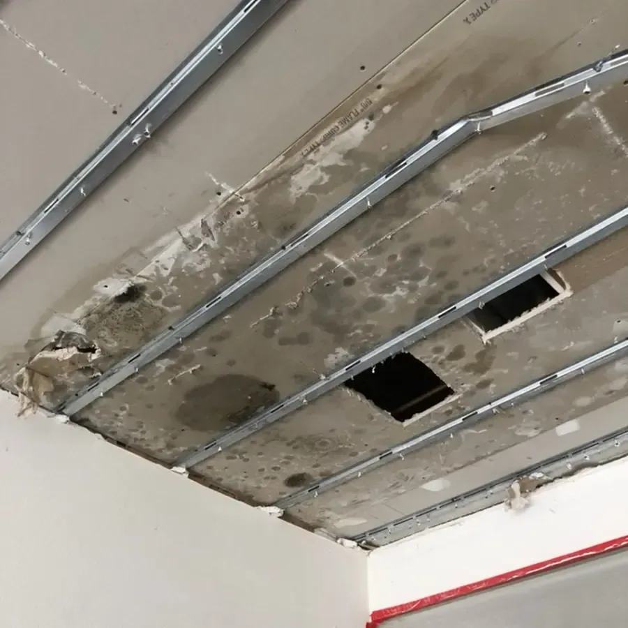 A stained ceiling opened up under a roof leak with the framing showing